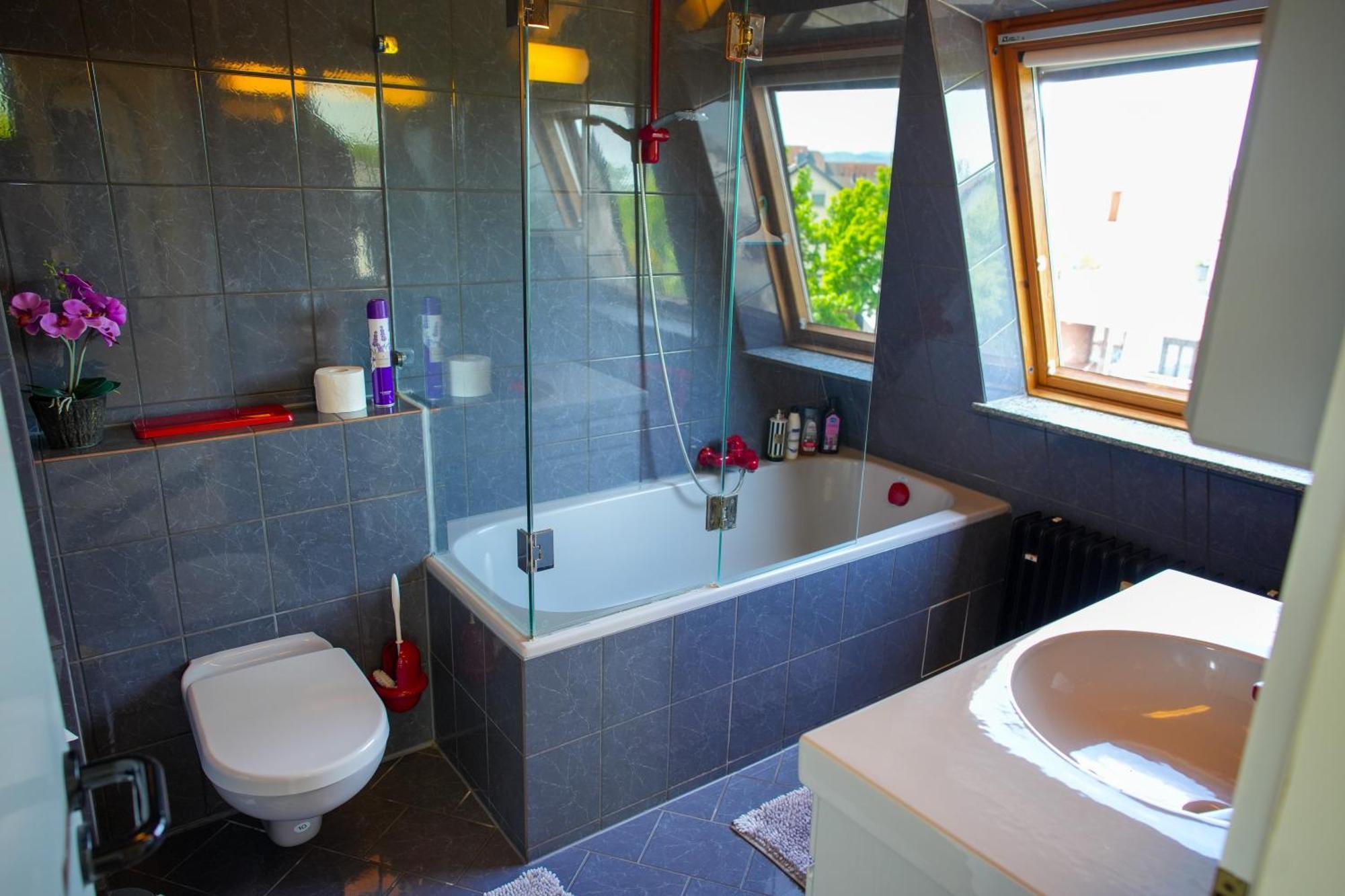 Schoenes Studio In Der Rheinebene, Zentral Gelegen Rheinstetten Bagian luar foto